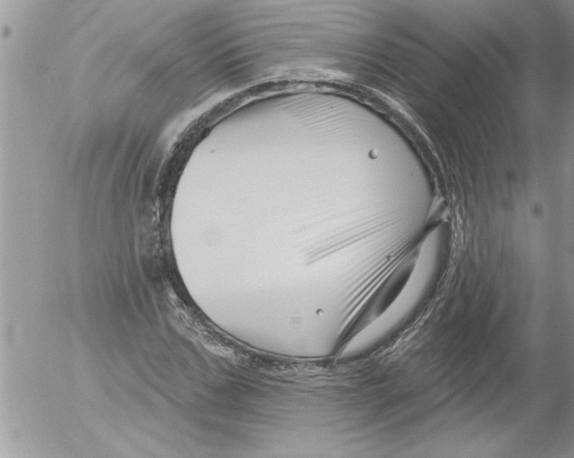 X0000052540971200507291846