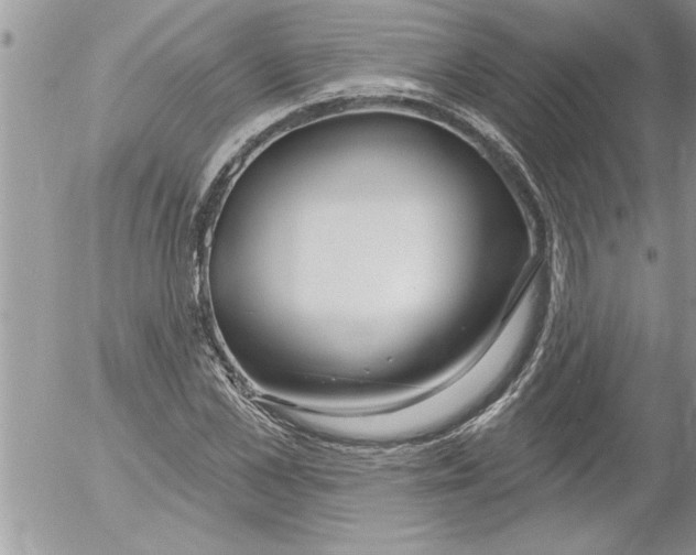 X0000052540973200507291846