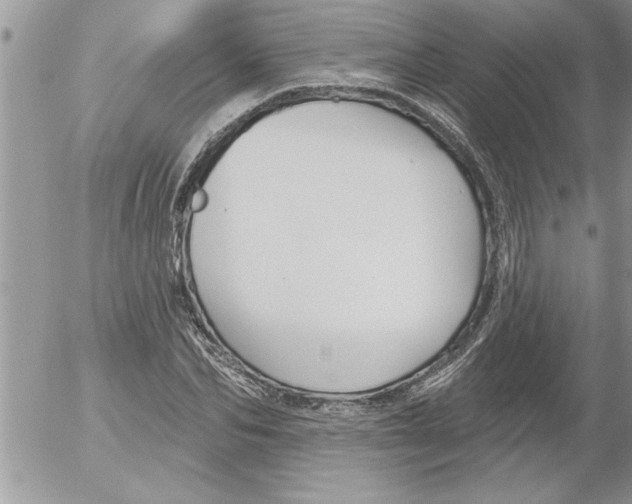 X0000052540974200507291846