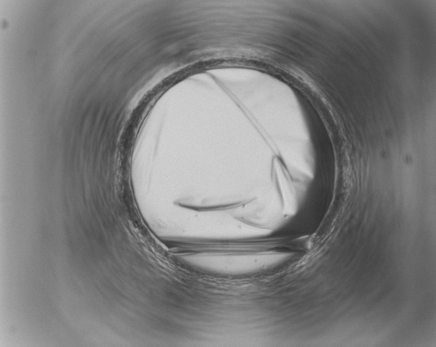 X0000052540975200507291846