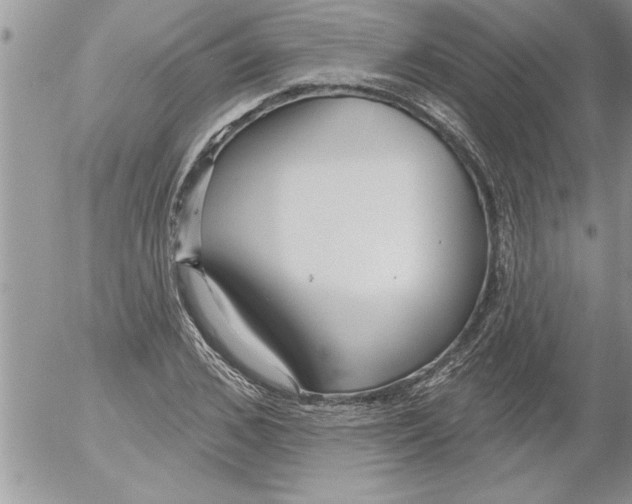 X0000052540976200507291846