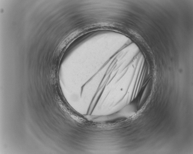 X0000052540977200507291846