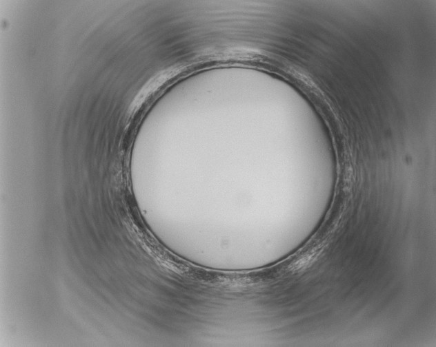 X0000052540978200507291846