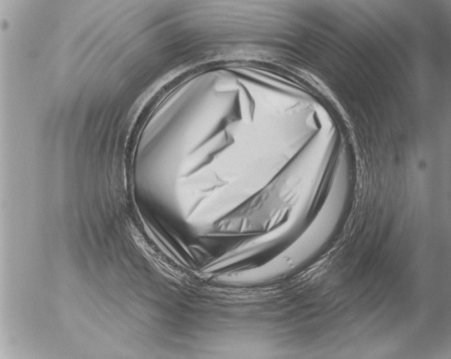 X0000052540980200507291846