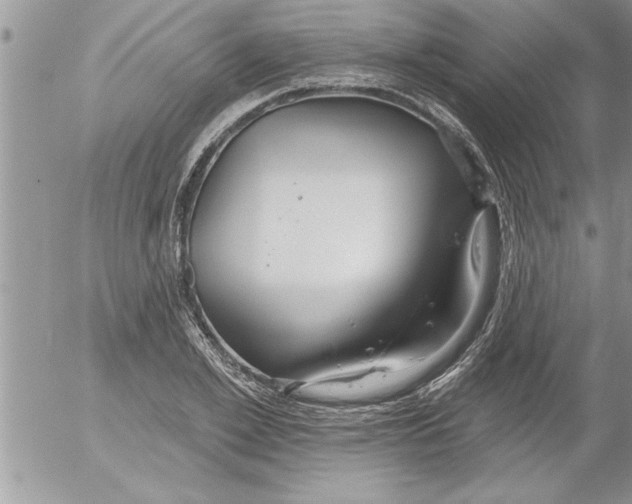 X0000052540981200507291846