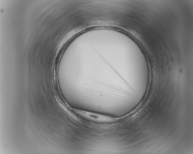 X0000052540982200507291846