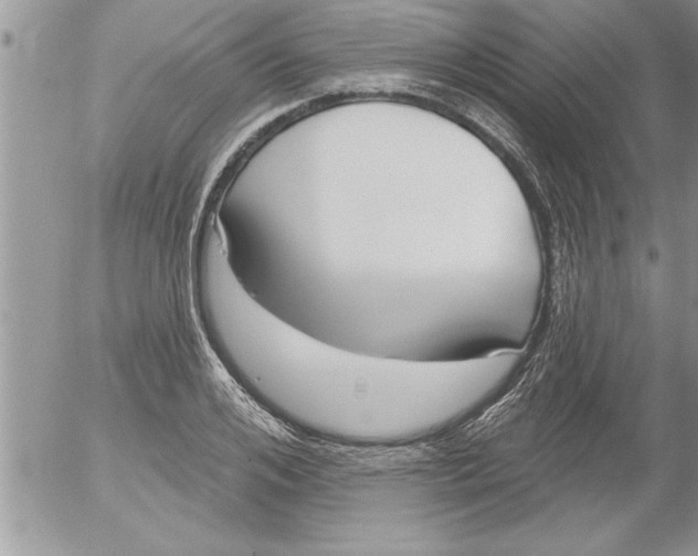 X0000052540984200507291846