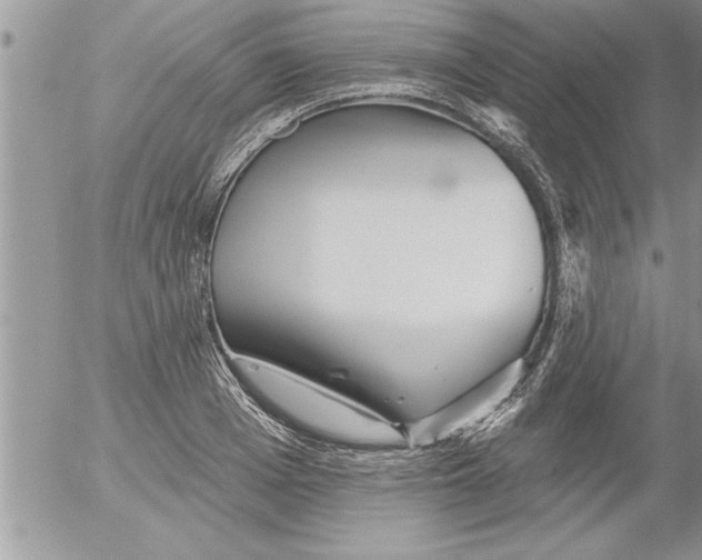 X0000052540985200507291846