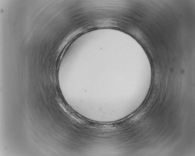 X0000052540986200507291846