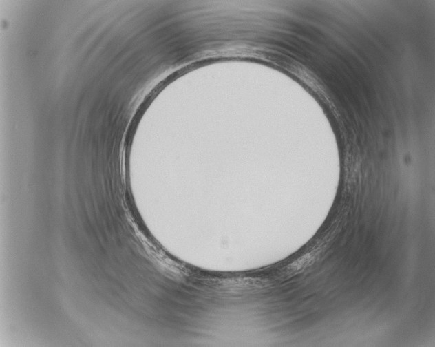 X0000052540988200507291846