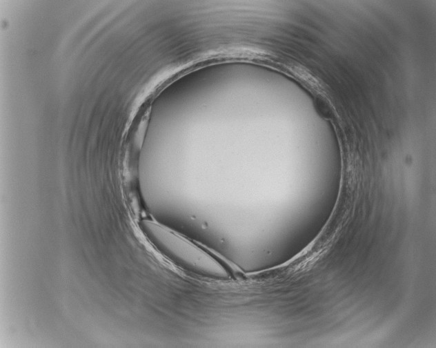 X0000052540989200507291846