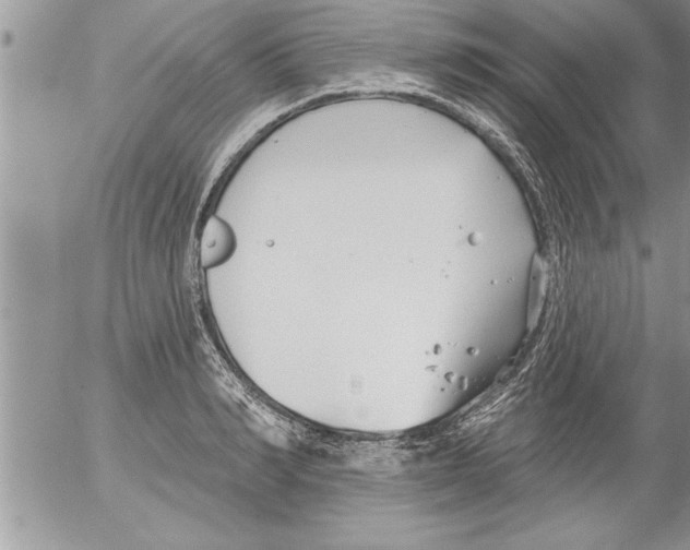 X0000052540990200507291846