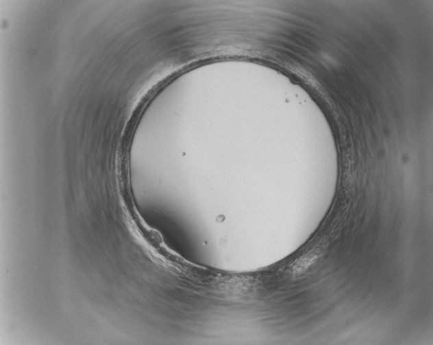 X0000052540991200507291846