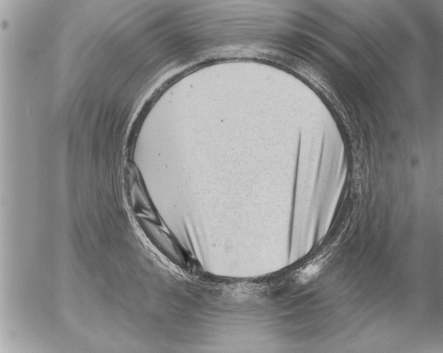 X0000052540992200507291846