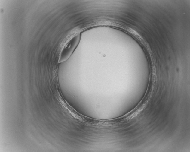 X0000052540993200507291846