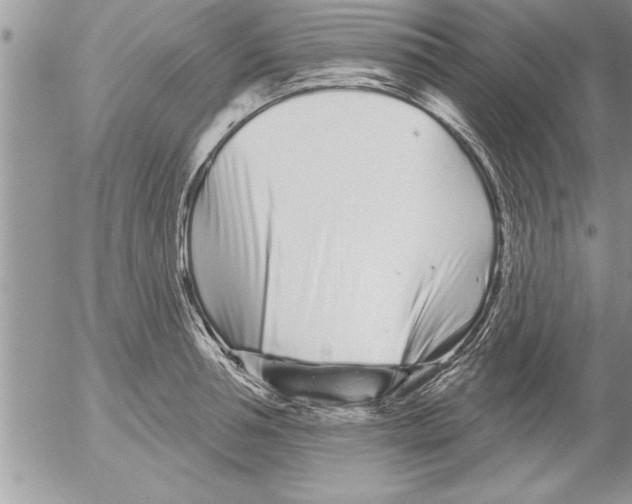 X0000052540994200507291846