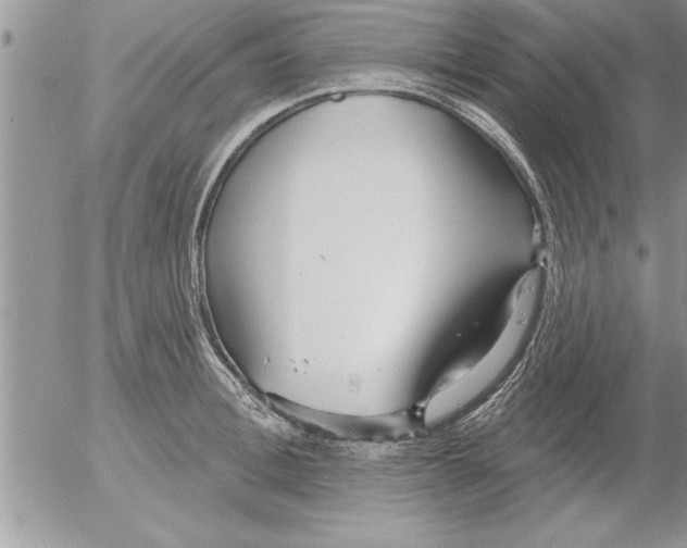 X0000052540996200507291846