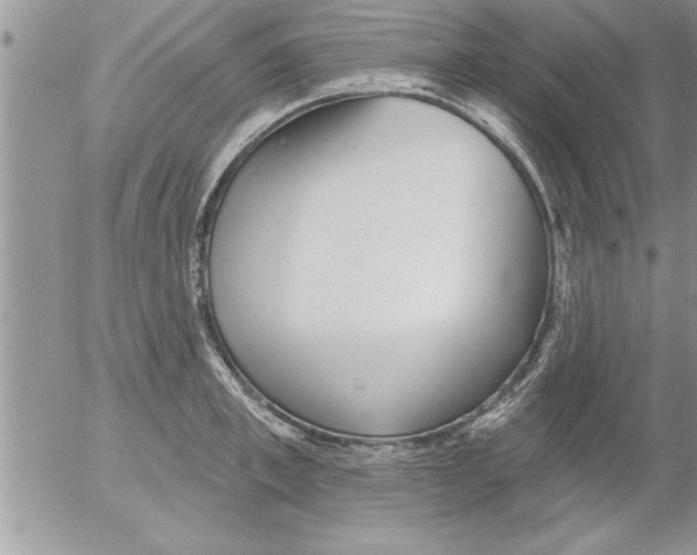 X0000052540997200507291846