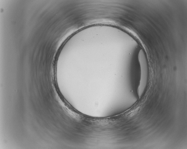 X0000052540999200507291846