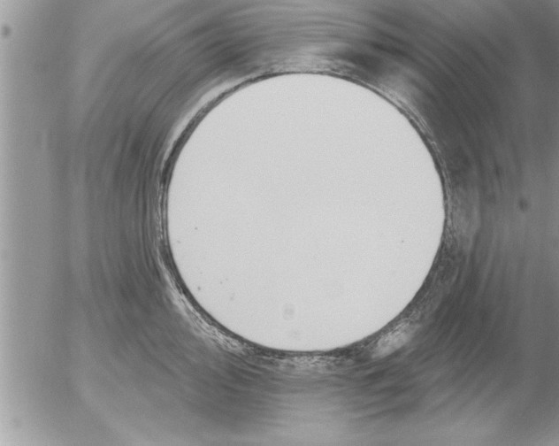 X0000052541000200507291846