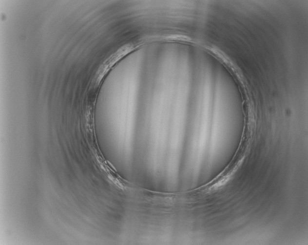 X0000052541001200507291846