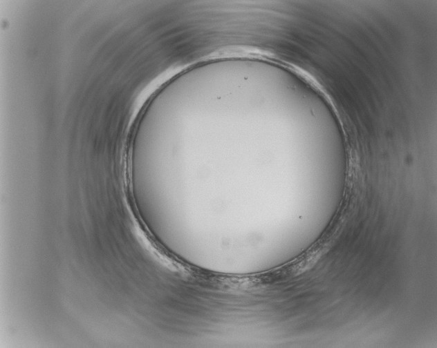 X0000052541003200507291846