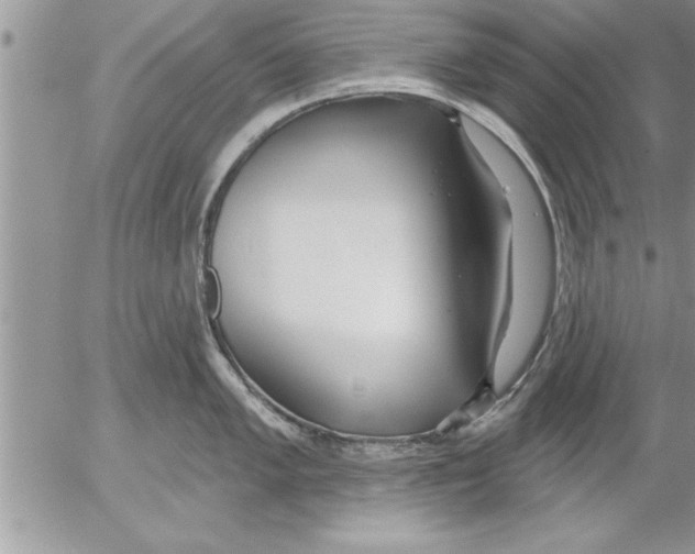 X0000052541005200507291846