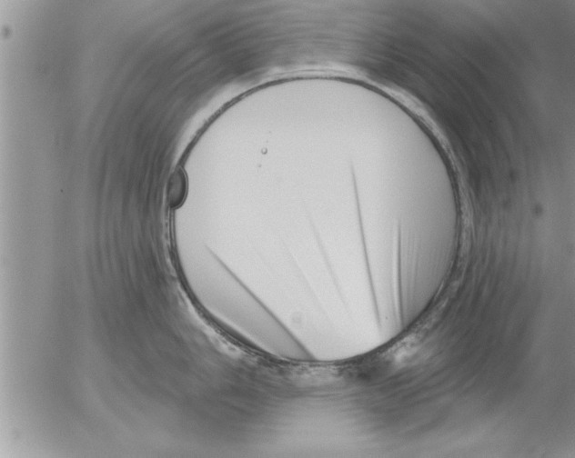 X0000052541006200507291846