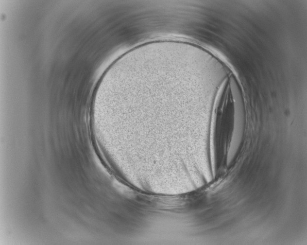 X0000052541007200507291846