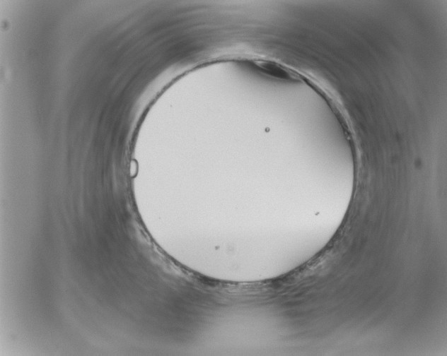 X0000052541008200507291845