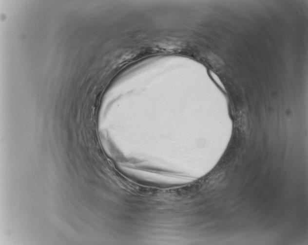 X0000052541009200507291845