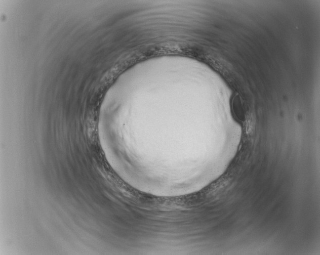 X0000052541011200507291845