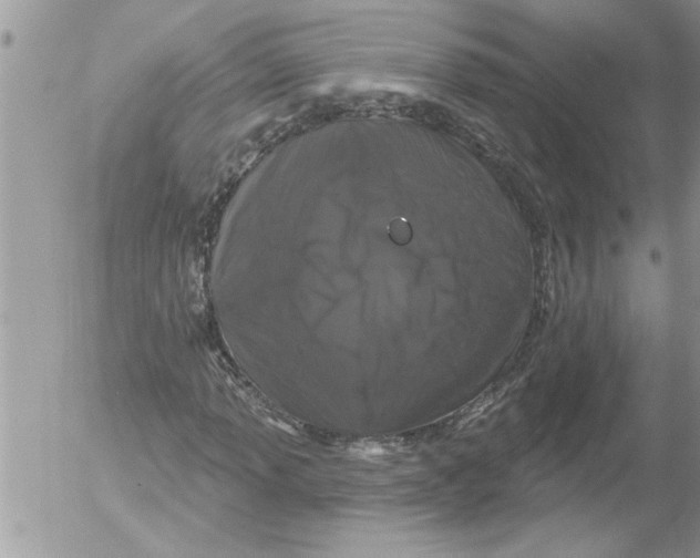 X0000052541013200507291845