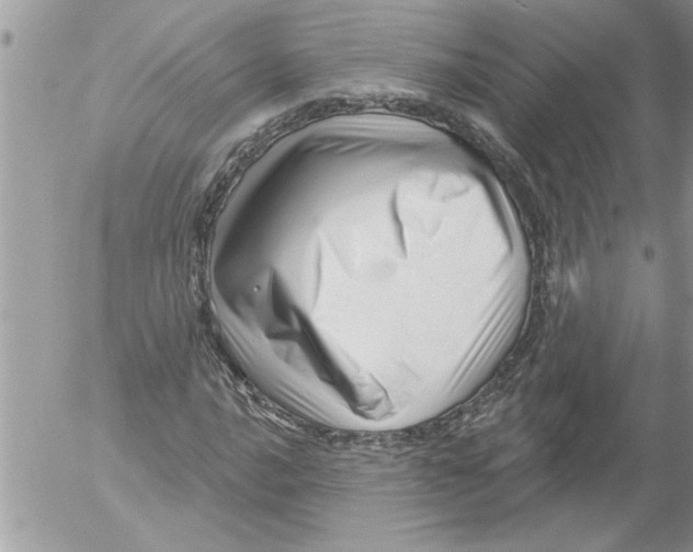 X0000052541016200507291845