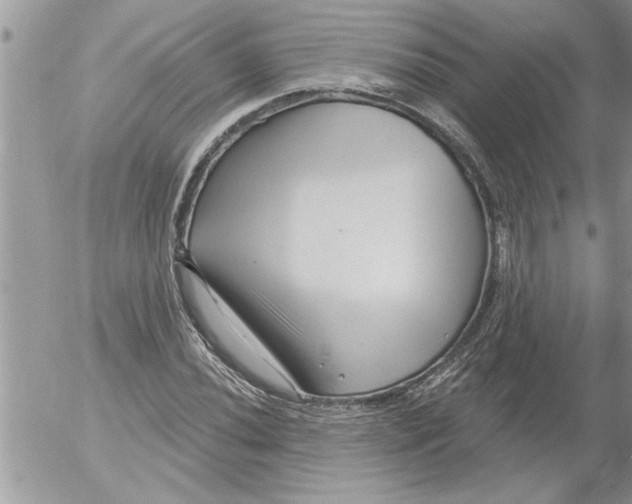 X0000052541020200507291845