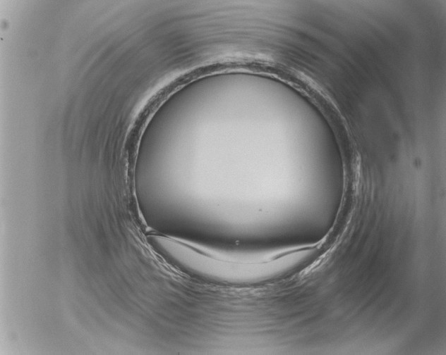 X0000052541021200507291845