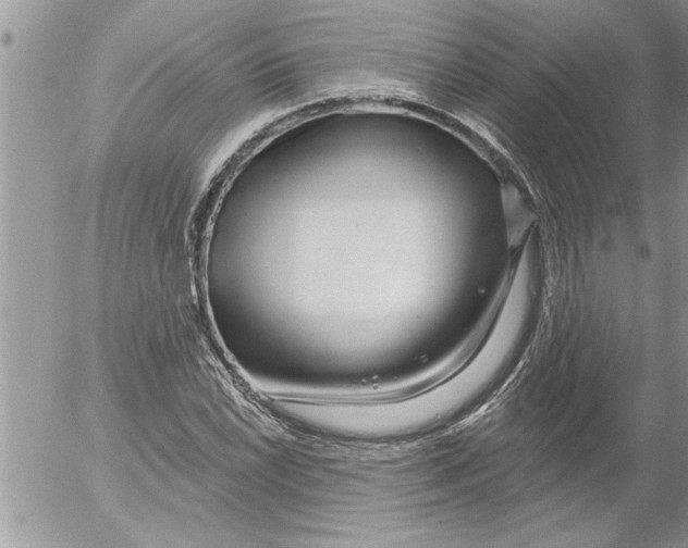 X0000052541022200507291845