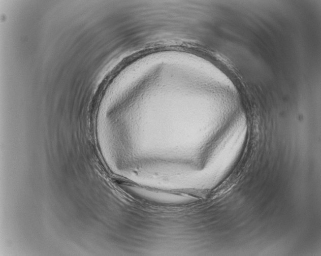 X0000052541023200507291845