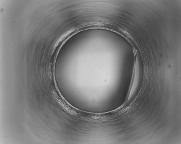 X0000052541026200507291845