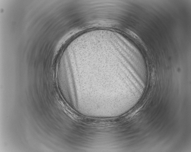 X0000052541027200507291845