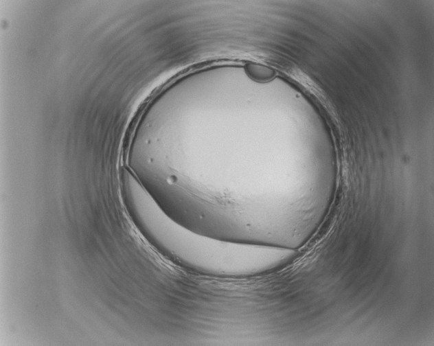 X0000052541028200507291845