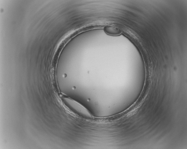 X0000052541029200507291845