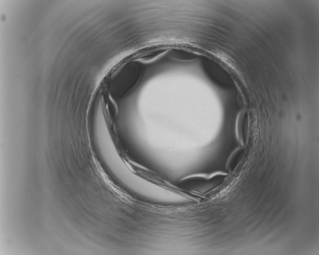 X0000052541030200507291845