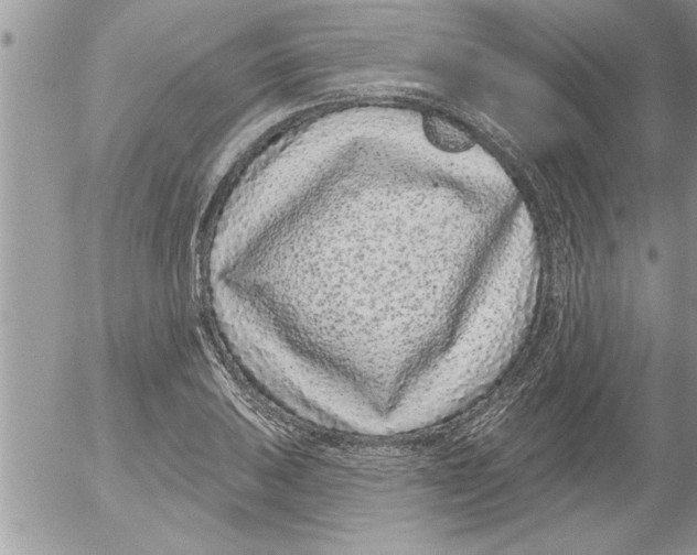 X0000052541031200507291845