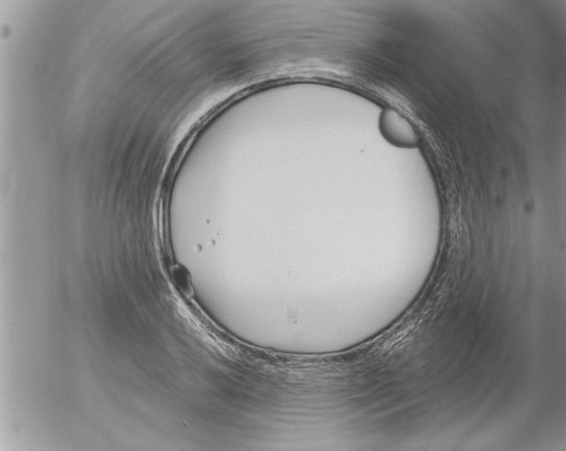 X0000052541032200507291845