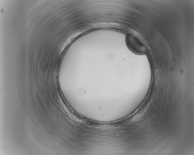 X0000052541033200507291845