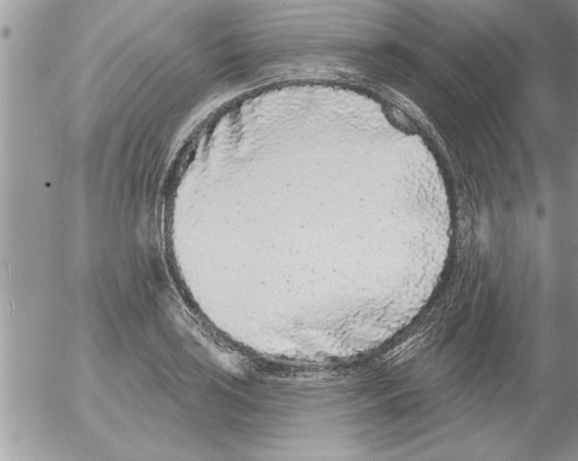 X0000052541035200507291845