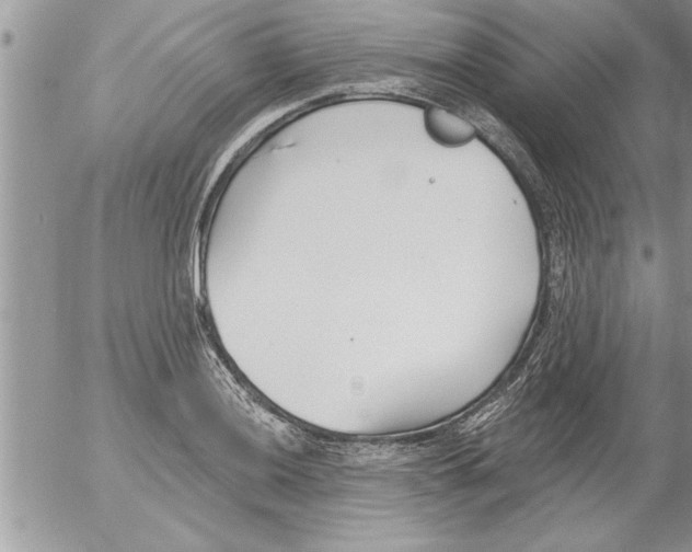 X0000052541036200507291845