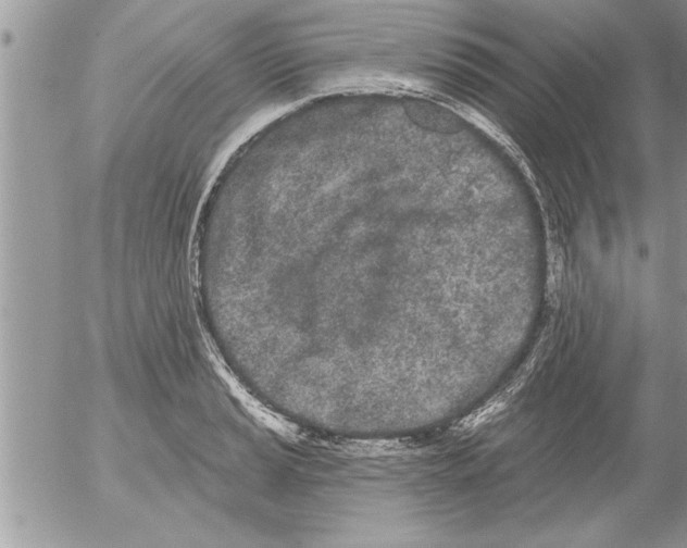 X0000052541037200507291845