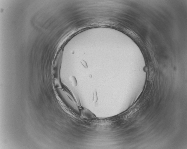 X0000052541039200507291845